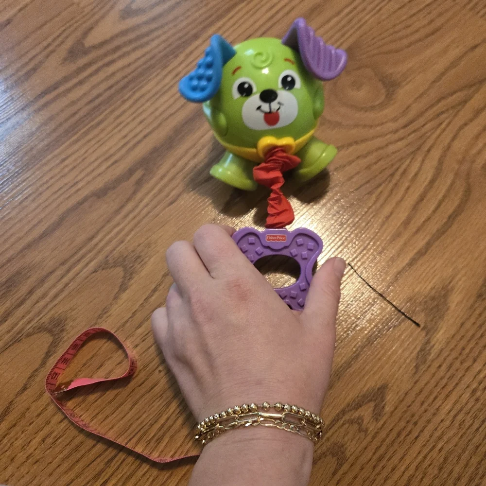 Fisher Price Brilliant Basics Tug Puppy 6m Interactive Baby Toy Vintage Colorful